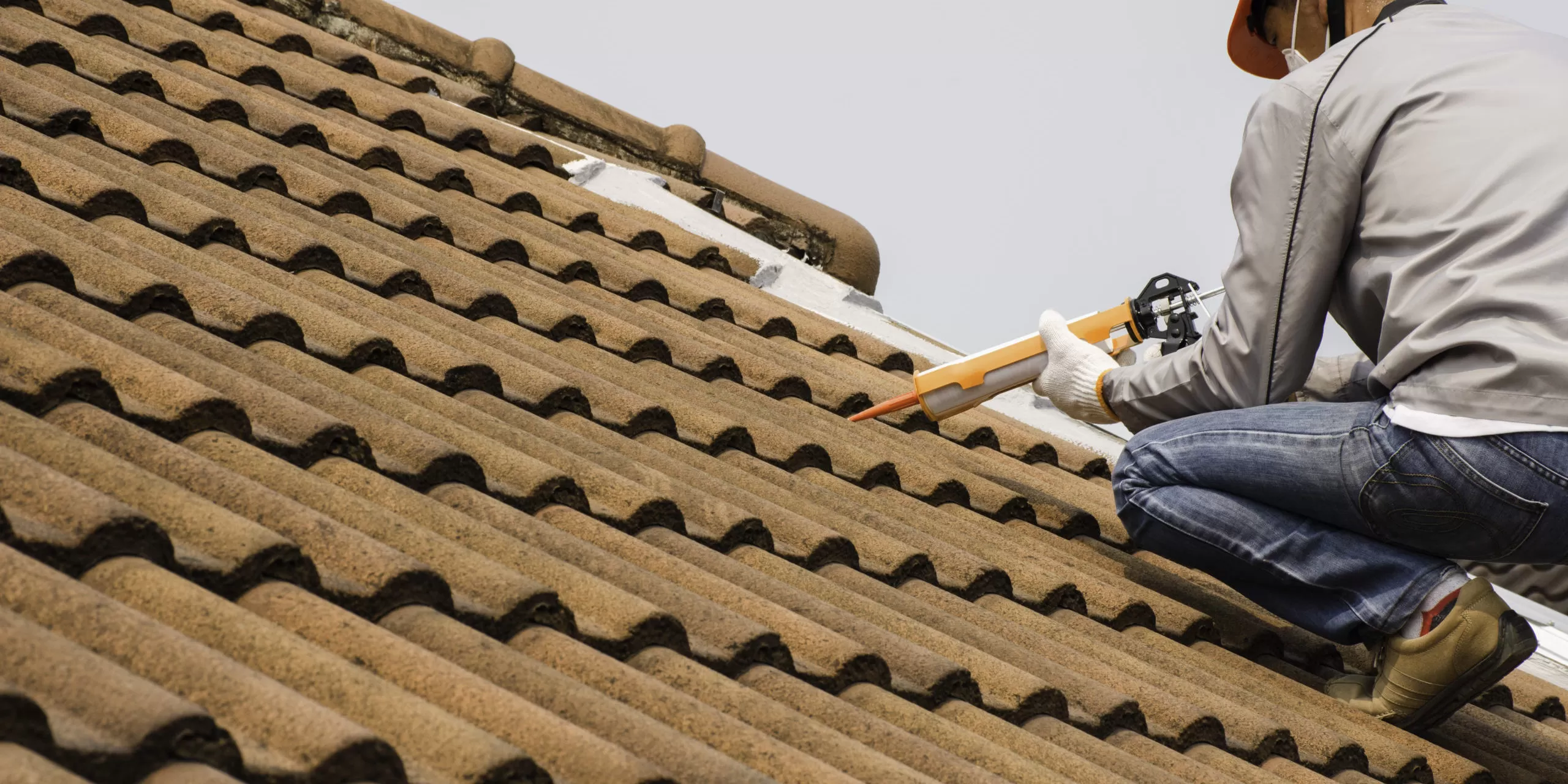 del cerro roof leak repair